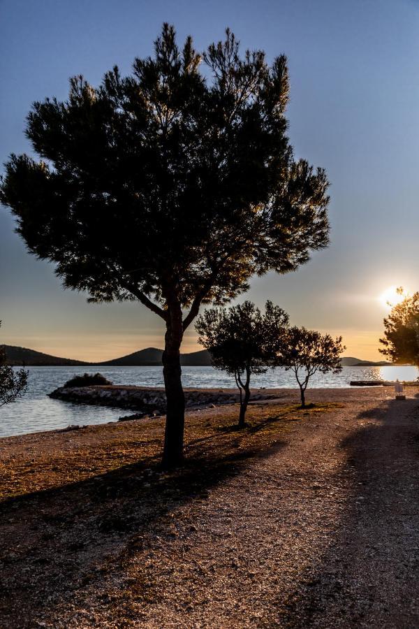 Mobile Home Whit Sea View Lavojesa Drage Zewnętrze zdjęcie
